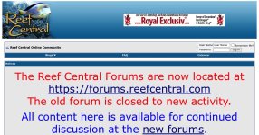 e6b9e3-reefcentral-com-forums.jpg