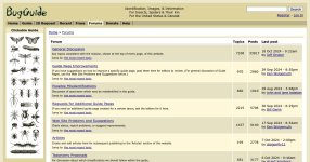 7f3c94-bugguide-net-forum.jpg