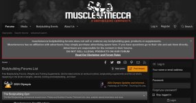 0bf328-musclemecca-com.jpg