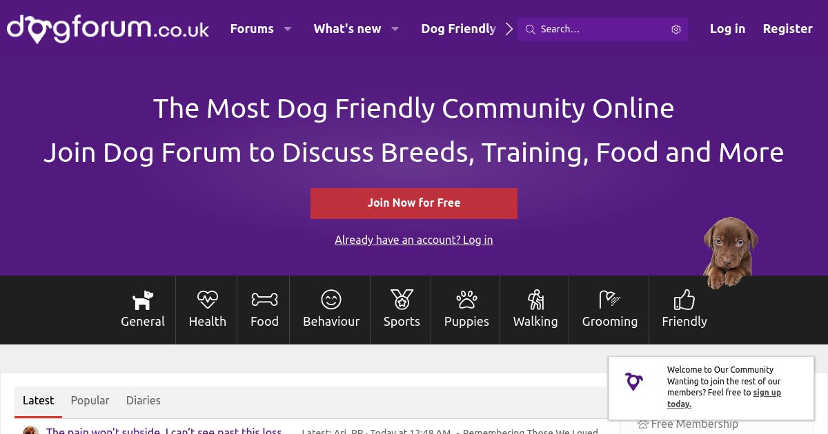 2fcfe8-dogforum-co-uk.jpg